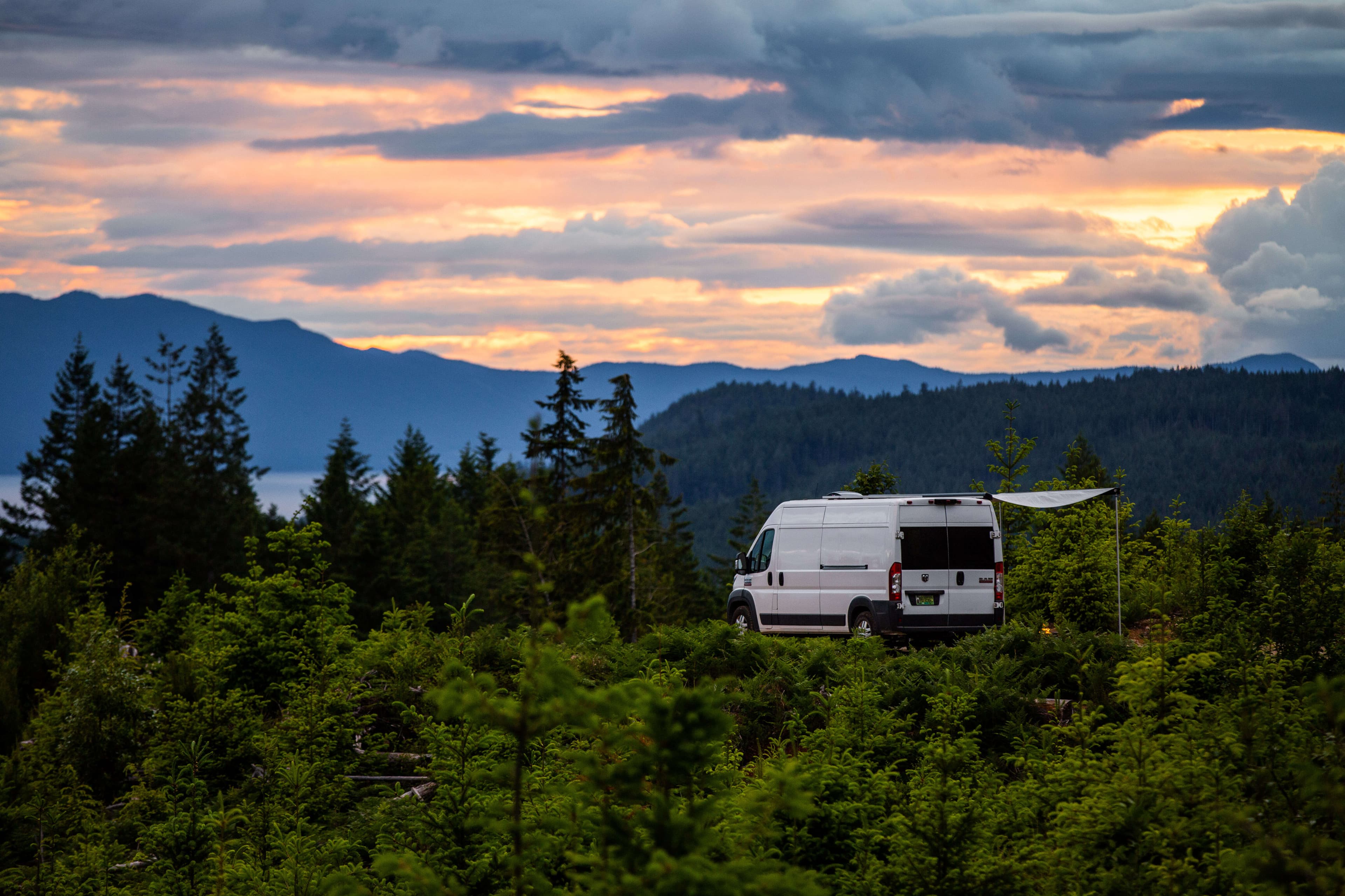 Electric RV awning